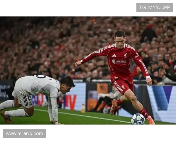 米兰在线登录遇到问题怎么办及快速解决方案